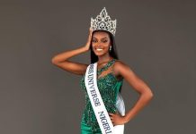 Miss Universe 2024: ‘This Is What It Means For Dreams To Come True’ – Chidimma Adetshina