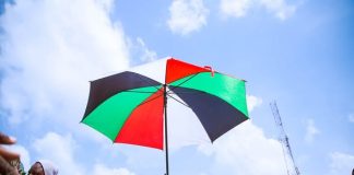 NDC Confirms Large Turnout As Primary Elections And Affirmations Conclude