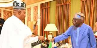 Uzodinma Targeted For Removal As PGF Chair Over Shettima’s Role In Tinubu’s Form Submission