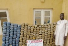 Massive Drug Haul: NDLEA Finds Cocaine, Opioids Inside Carton Compartments