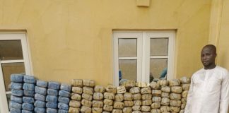 Massive Drug Haul: NDLEA Finds Cocaine, Opioids Inside Carton Compartments