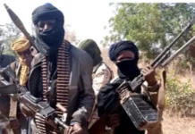 Bandits Kill Zamfara LG Director, Councillor, Abduct Others