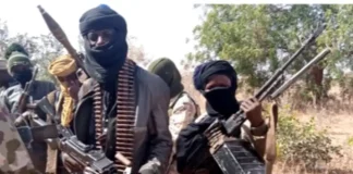 Bandits Kill Zamfara LG Director, Councillor, Abduct Others