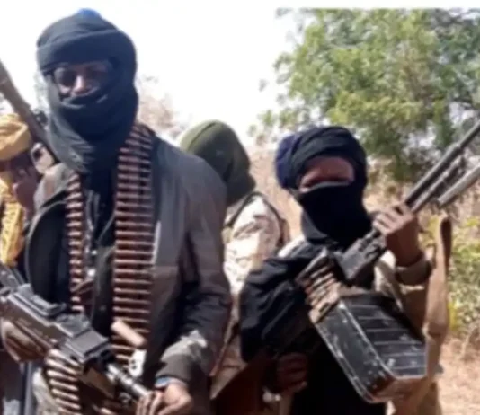 Bandits Kill Zamfara LG Director, Councillor, Abduct Others