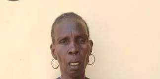 Female Suspect Arrested Over Alleged Boko Haram Collaboration in Borno