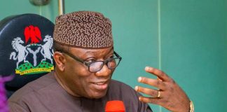 APC Lacks Progress Under Current Structure – Fayemi