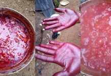 Lagos seals shop over alleged sale of adulterated palm oil