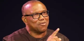 Peter Obi Reassures Supporters, Says NDC Belongs To Everyone Ahead Of 2027
