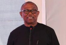 Peter Obi’s acceptance in North still in doubt despite Kwankwaso’s support base – Muhammad, Ibrahim