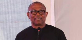 Peter Obi’s acceptance in North still in doubt despite Kwankwaso’s support base – Muhammad, Ibrahim