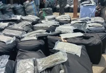 NDLEA Intercepts ₦10.4 Billion Canadian Loud At Lagos Port