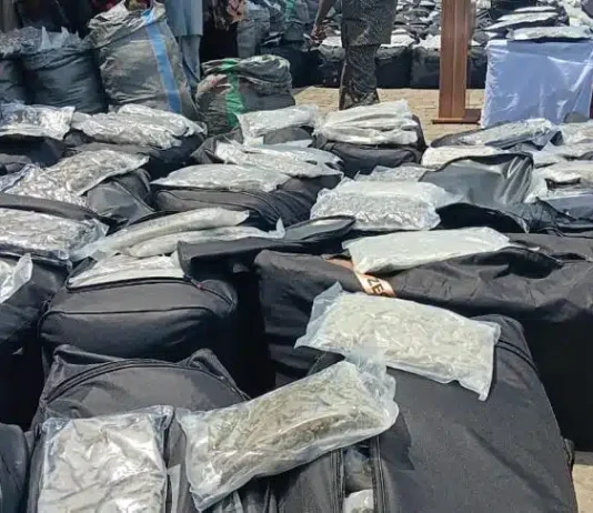 NDLEA Intercepts ₦10.4 Billion Canadian Loud At Lagos Port