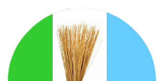 Osun APC primary: Stakeholders caution against imposition of candidates