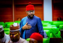 You Are Playing With Fire – Ugochinyere Raises Alarm Over Plot To Deregister Political Parties