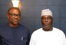 ‘The Most Foolish Thing’ – APC Chieftain Reveals Atiku’s Plot With ADC, Calls Out Peter Obi