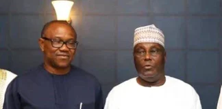 ‘The Most Foolish Thing’ – APC Chieftain Reveals Atiku’s Plot With ADC, Calls Out Peter Obi