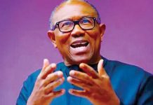 Peter Obi Urges Caution, Says State Police Implementation Should Be Delayed