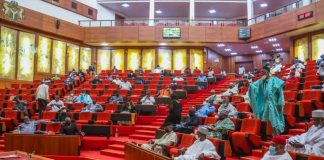 NNPC Drama: Senate Refutes Arrest Warrant Claims Against Kyari