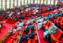House of Reps Announces Voting Date for State Police Establishment
