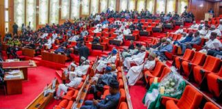 House of Reps Announces Voting Date for State Police Establishment