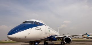 Air Peace Grounds Warri–Lagos Flight Following Bird Strike Emergency