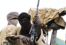 Terrorists Reportedly Extort Food and Materials From Niger Communities