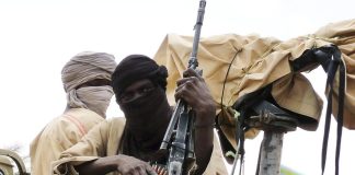 Terrorists Reportedly Extort Food and Materials From Niger Communities