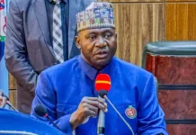 Security Personnel, Nigerians Equally Affected by Insecurity – Defence Minister