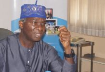 What Kind Of Democracy Do We Want? – Fashola Asks Nigerians