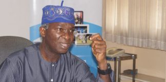 What Kind Of Democracy Do We Want? – Fashola Asks Nigerians