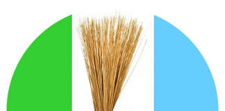 APC Stands Firm, Dismisses Review of 2027 Primary Results