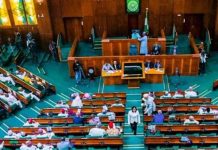 37 Constitutional Amendment Bills Get House of Reps Attention – Full List Released