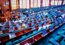 Drama in House of Reps as Ugochinyere, Agbese Trade Words Over Forgery Allegation