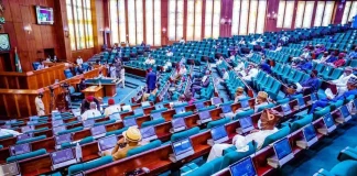 Drama in House of Reps as Ugochinyere, Agbese Trade Words Over Forgery Allegation