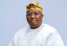 Gunmen Seize Adelabu’s Sister, Twin Children in Fresh Attack
