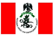 Drug Offenders May No Longer Pay Fines Under New FG Plan – NDLEA