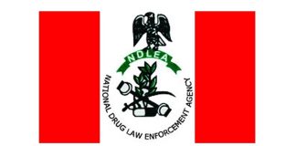Drug Offenders May No Longer Pay Fines Under New FG Plan – NDLEA