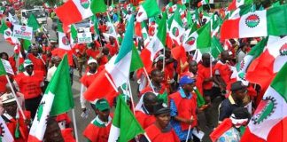 Labour Leaders Raise Alarm Over Insecurity, Consider Strike Option
