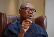 Peter Obi: Raising responsible, visionary leaders, how to build Nigeria of our dreams