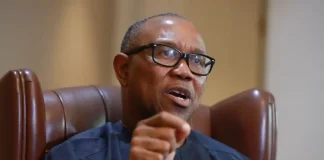 Peter Obi: Raising responsible, visionary leaders, how to build Nigeria of our dreams