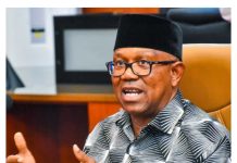 No Reason To Keep Nnamdi Kanu In Prison – Peter Obi Insists