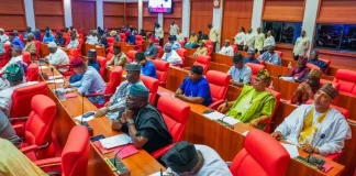 Senate Panel Finds No Evidence Against Customs in N62.2 Billion Remittance Dispute