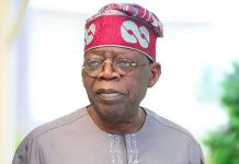 How Tinubu Is Reshaping Nigeria Through Strategic Reforms