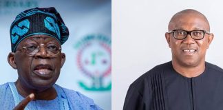 2027: Peter Obi’s One-Term Promise Draws ACF Criticism as Group Attacks Tinubu’s Performance
