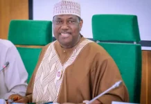 Nigerian Government Reaffirms Priority on Growth and Democratic Stability