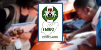 INEC Says 1.6 Million Voters Will Decide Ekiti Governorship Election