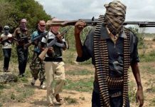 Boko Haram Kidnaps 13 People, Including a 7-Month-Old Baby, in Borno