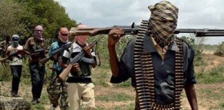 Boko Haram Kidnaps 13 People, Including a 7-Month-Old Baby, in Borno