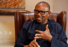 Aisha Yesufu Chose Senate Seat Instead of House of Reps Slot Offered by Peter Obi – NDC