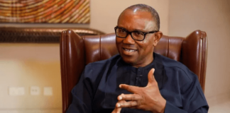 Aisha Yesufu Chose Senate Seat Instead of House of Reps Slot Offered by Peter Obi – NDC
